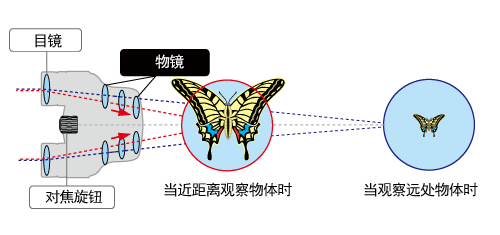 Mechanism of 'Macro observation'