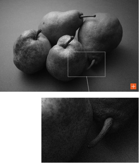 Image illustrating the above content