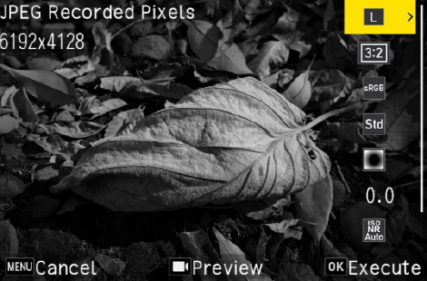 Image illustrating the above content